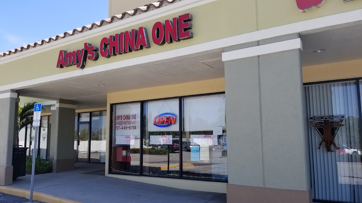 Amy's China One Chinese