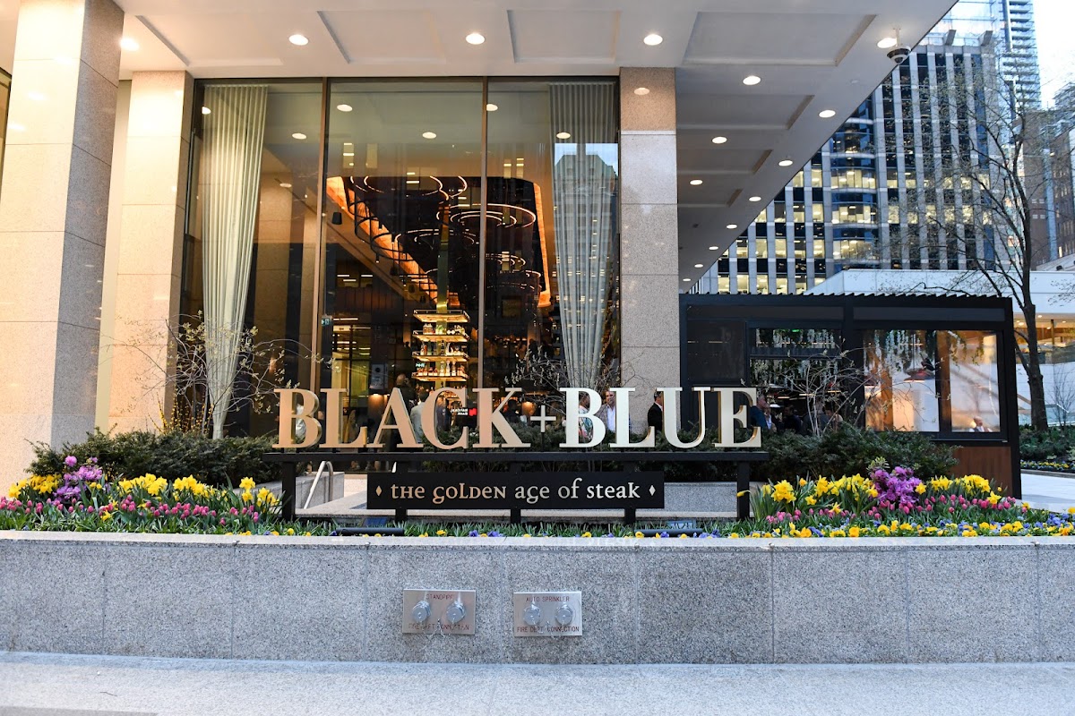 Black+Blue