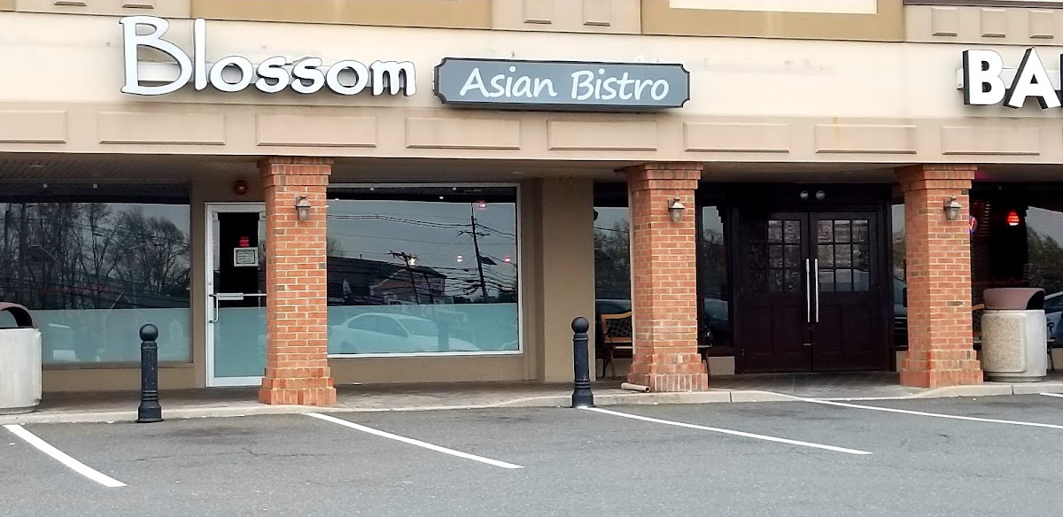 Blossom Asian Bistro