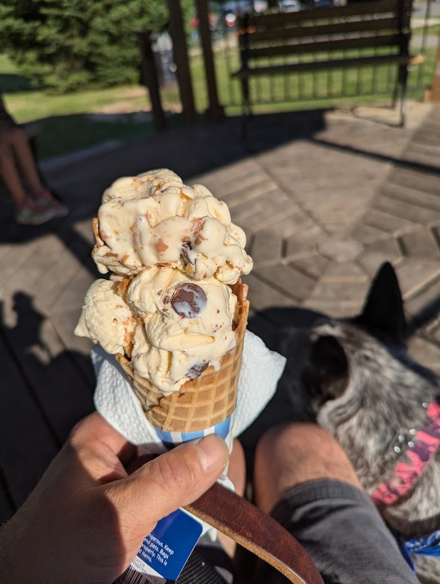 Cascades Ice Cream Co