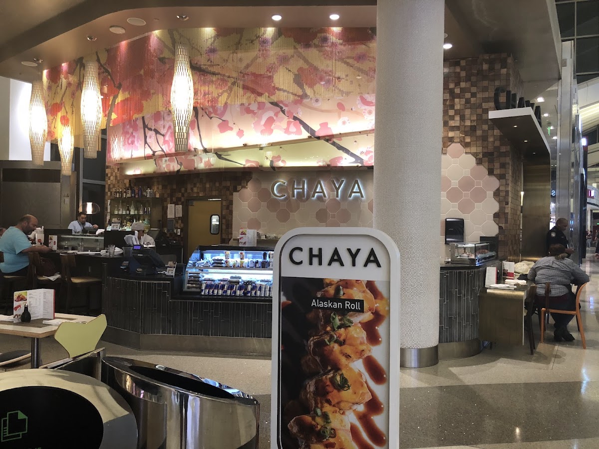 Chaya Bar