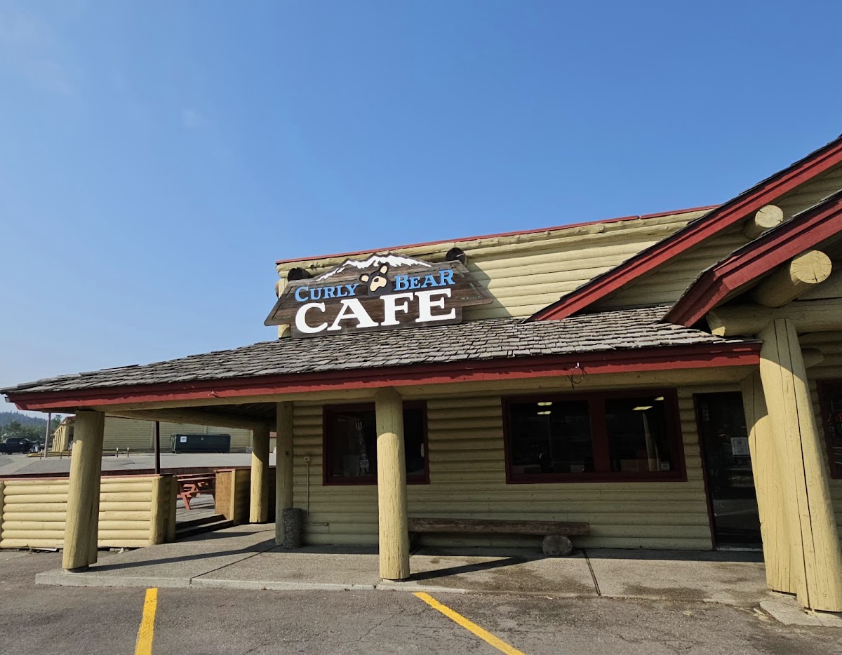 Curly Bear Cafe