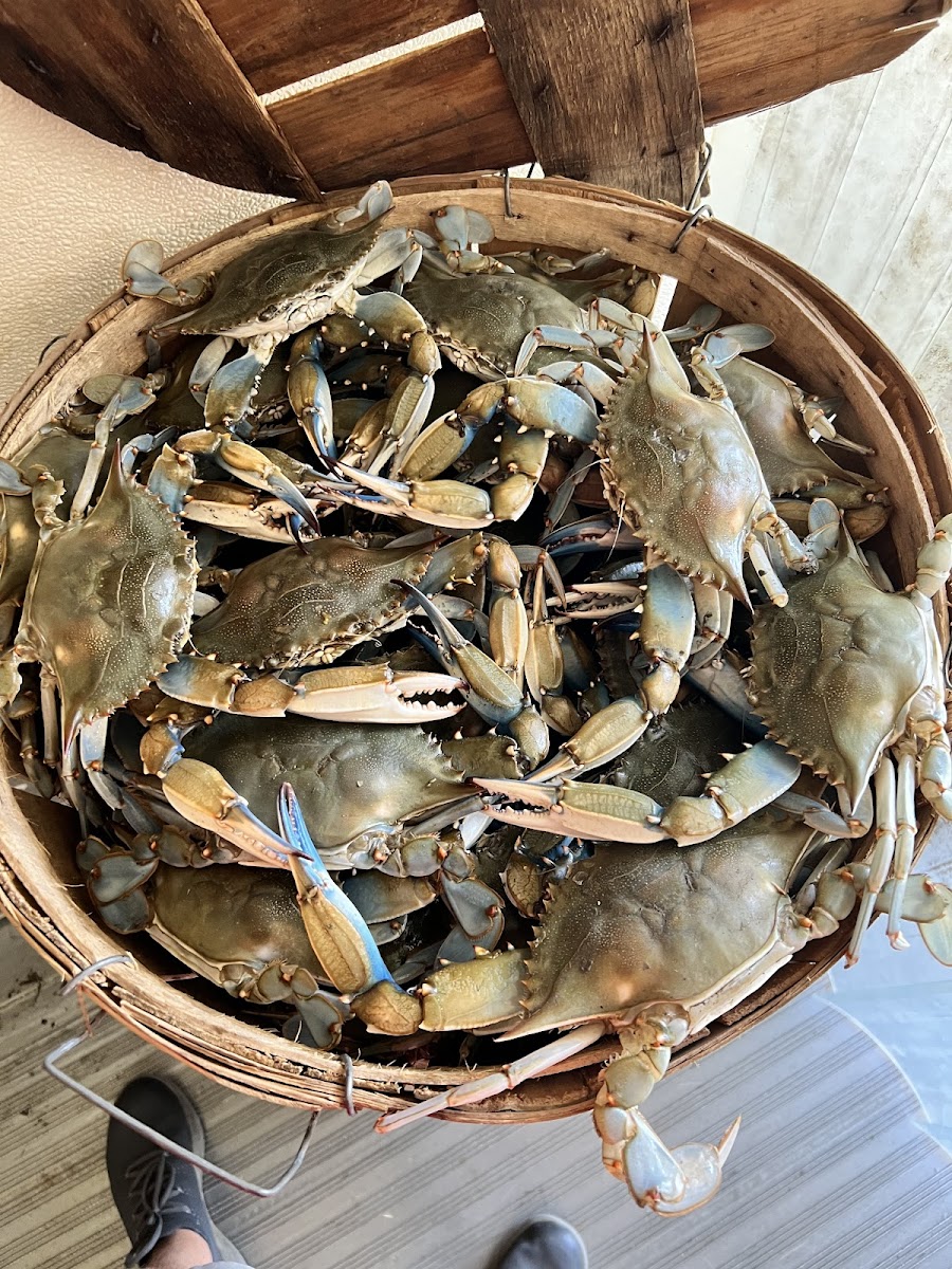 Dave's Roadside Seafood