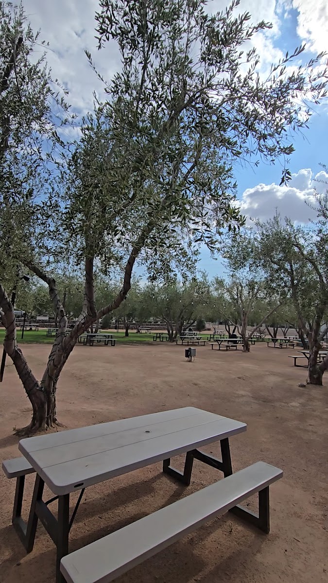 Di Oliva Italian Bistro & Bar