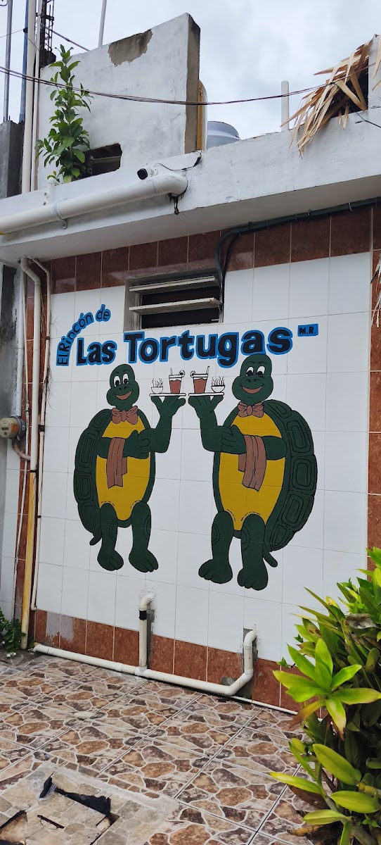 El Rincón De Las Tortugas