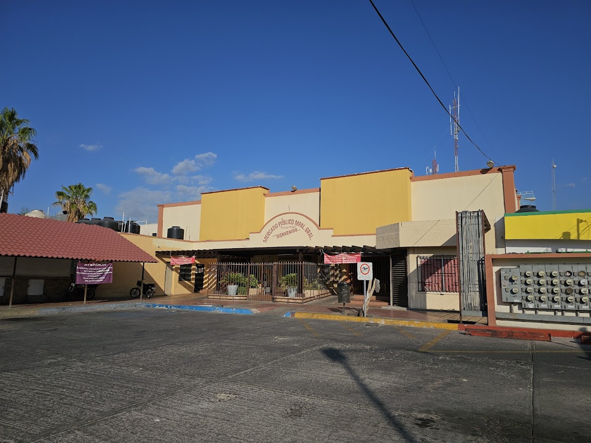 Mercado Municipal General Nicolas Bravo