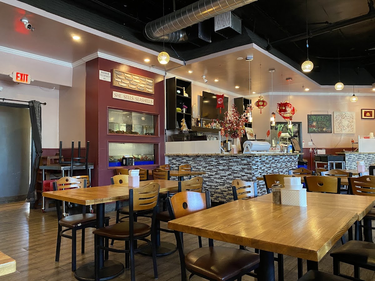 Ốc Cây Dừa