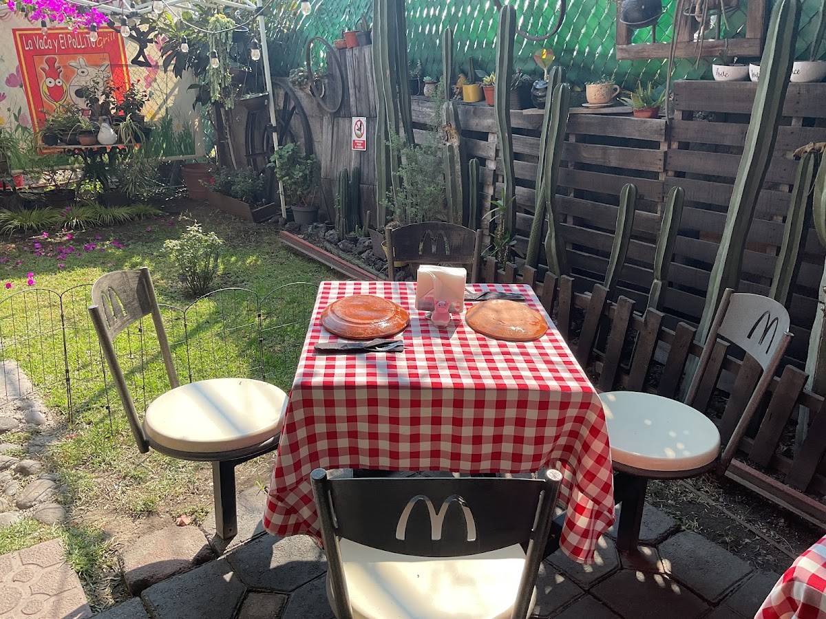 Pollos Al Carbon La Vaca Y El Pollito Grill