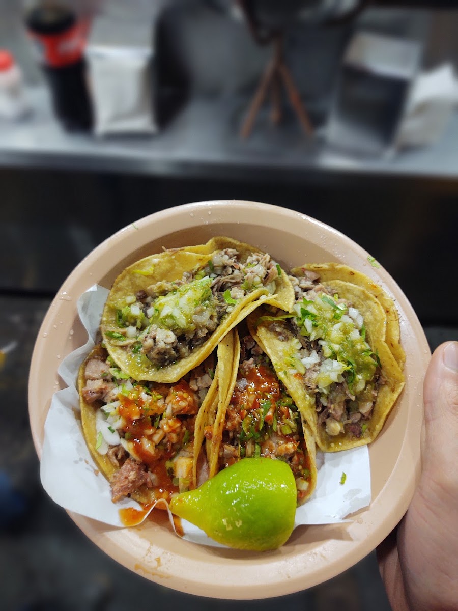 Taqueria Los Gueros